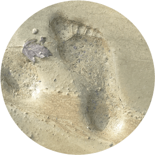 Huntersfootprint.earth